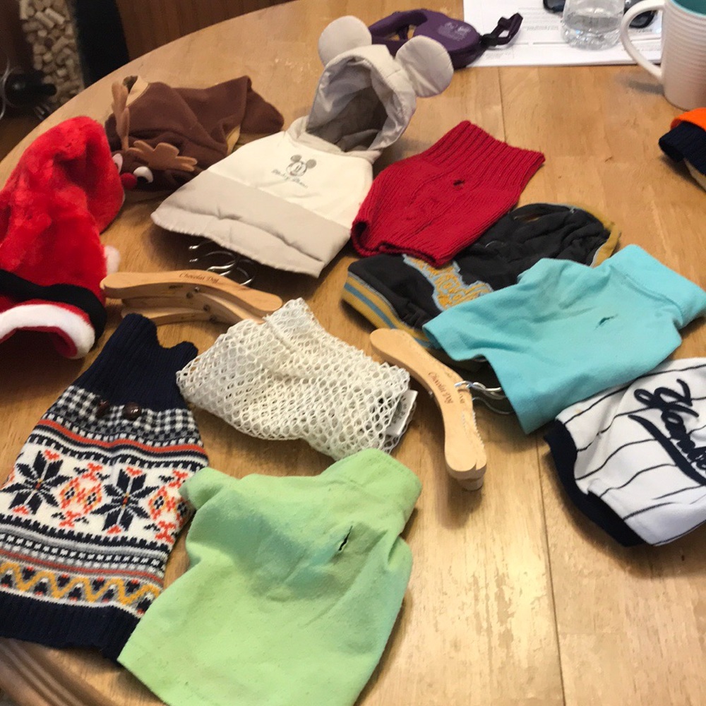 Small dog clothes with hangers